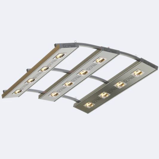 SB3 Solarium